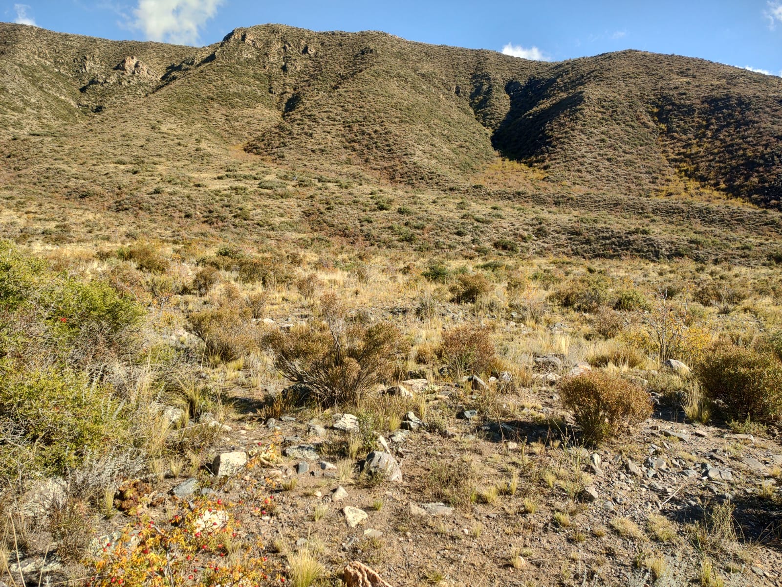 Lote, potrerillos, piedras blancas, vistas